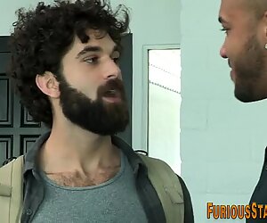 Zerrissen bär saugt bbc